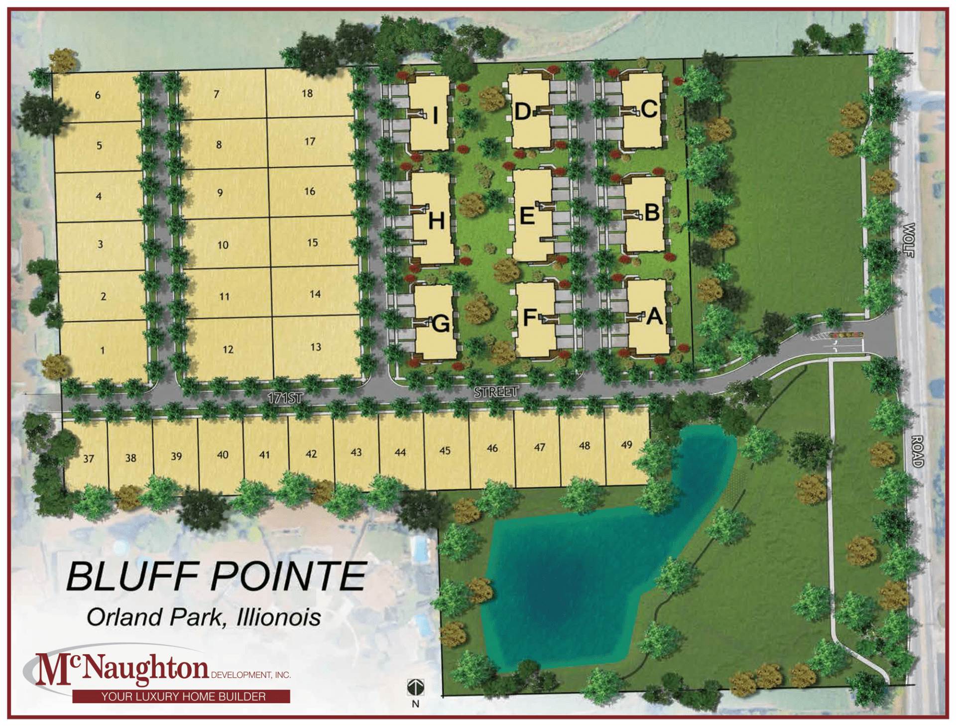 Homes for Sale Bluff Pointe of Orland Park McNaughton Development